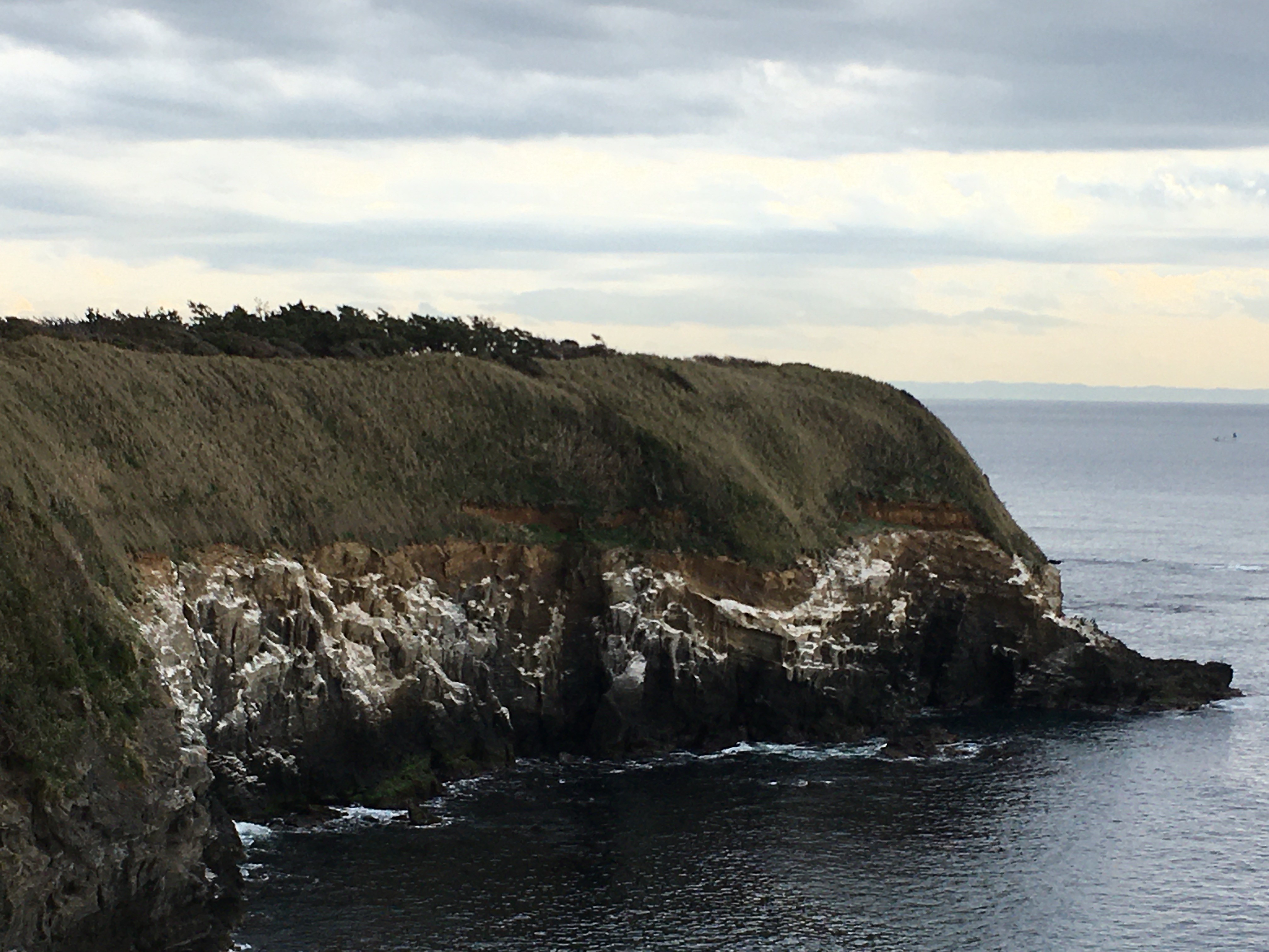城ヶ島ハイキングコースウミウ展望台から安房崎灯台方面を眺める